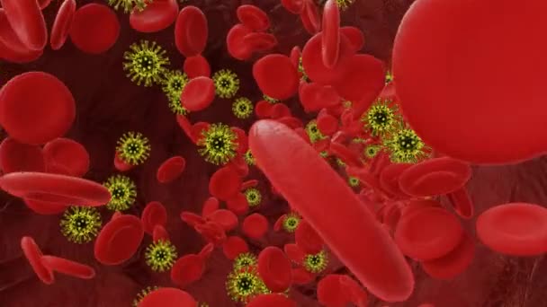 Rote Blutkörperchen, die mit Viren in einer Arterie fließen. 3D-Video - Filmmaterial, Video