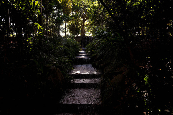 Een waterval boven stenen treden in een donker bos met slechts lichtpuntjes die door - Foto, afbeelding