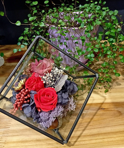 Ikuinen ruusu ja Hydrangea kukkia kristalli kupoli huoneen koristeluun aikana Ystävänpäivä. DIY (Tee se itse) kuivattuja kukkia, Idea huoneen sisustus. Valikoiva tarkennus kopiotilaa - Valokuva, kuva