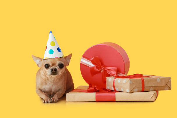 Χαριτωμένο σκυλί chihuahua με δώρα γενεθλίων στο φόντο χρώμα - Φωτογραφία, εικόνα