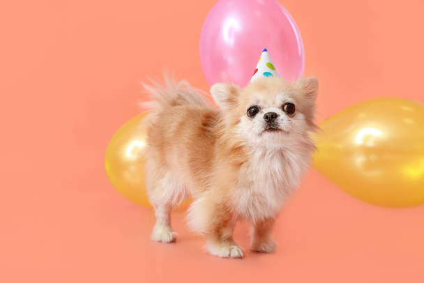 Cute chihuahua dog celebrating birthday on color background - Foto, Imagen