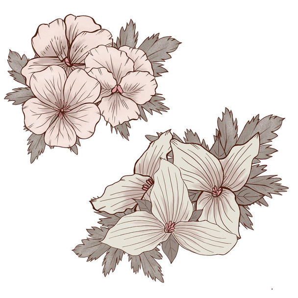 Beige pansy flower bouquet, white trullium floral composition, wild botanica illustration, wedding design elements - Photo, image