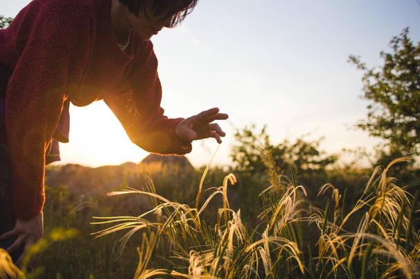 het meisje loopt haar hand over het hoge gras en raakt het aan terwijl ze door de velden loopt in het zonsondergang licht. - Foto, afbeelding