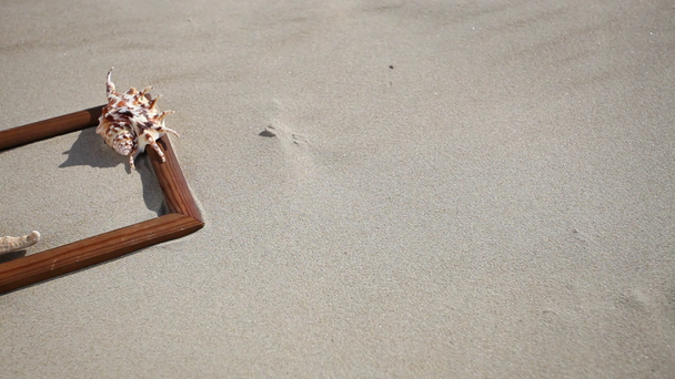 Shell, stelle marine e bicchieri in cornice di legno sulla spiaggia
 - Filmati, video