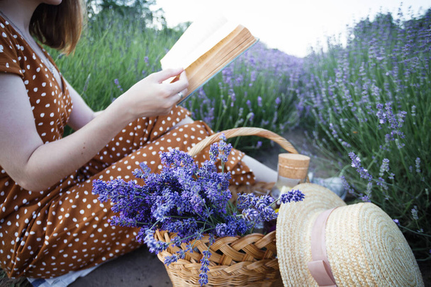 Provence - girl reading a book in a lavender field - Foto, Imagem