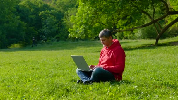 Mann arbeitet im Sommerwald am Laptop - Filmmaterial, Video