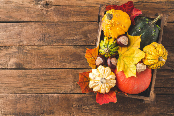 Composition of colourful autumn pumpkins and leaves in box on wooden background with copyspace. Fall concept - Foto, imagen