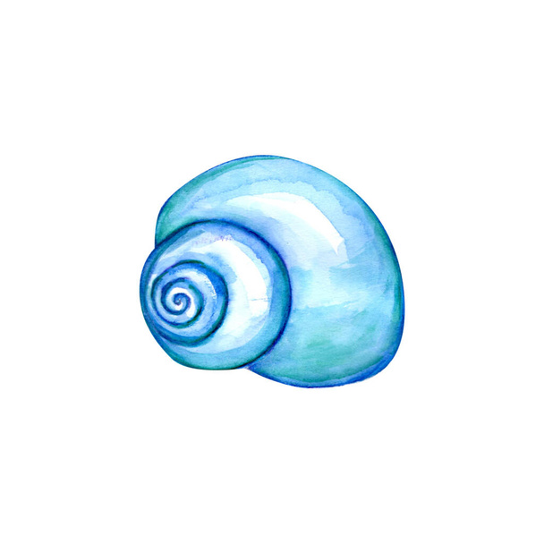 Watercolor illustration of blue seashell - Fotoğraf, Görsel
