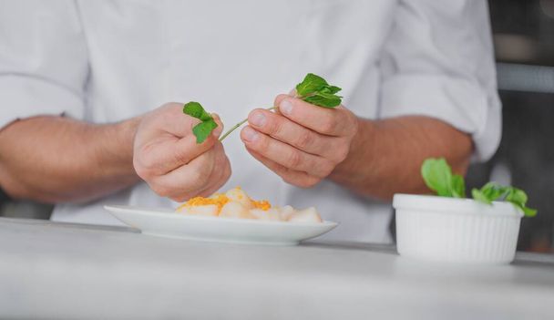 Chef hand cooking penne with cheeze and sun-dried in a white plate - Foto, Bild