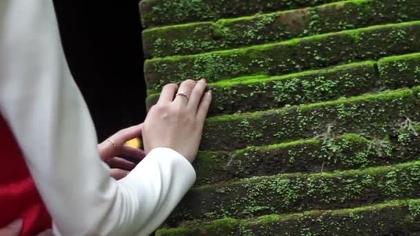 Ruce novomanželů se snubními prsteny - Záběry, video