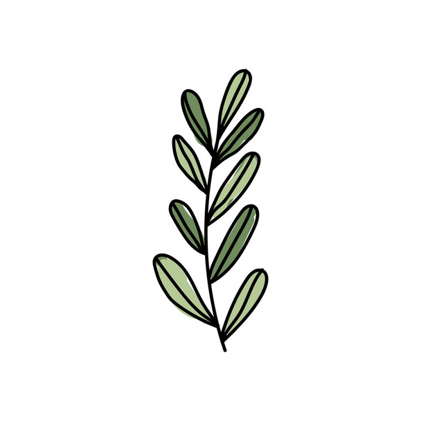 Vector illustratie van bladeren met omtrek. Handgetekend bladlogo symbool. - Vector, afbeelding