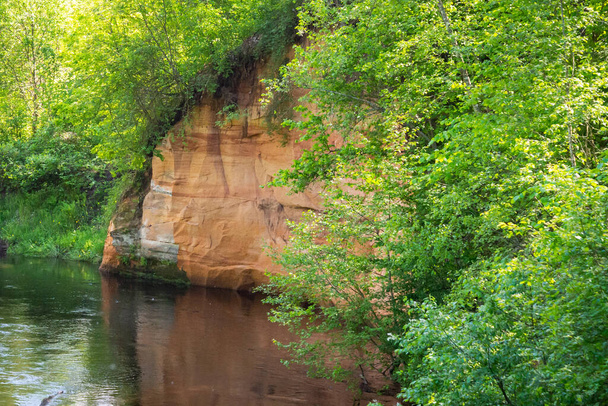 вид на горную реку летом, окруженную лесами и песчаными скалами - Фото, изображение