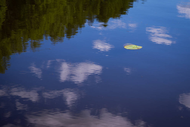 Blauw meer water reflecteert de zomer blauwe lucht met witte cumulus wolken en een groene waterlelie blad. - Foto, afbeelding