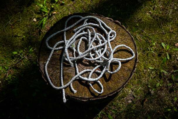White rope for tying a boat on a wooden stump in green moss. - Photo, Image