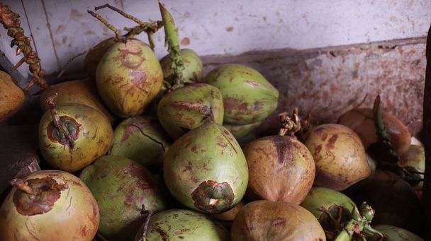 Verse jonge kokosnoten, verse groene kokosnoot, stapels groene kokosnoot, de Javanen noemen het degan of kelapa muda. Jong groen kokosfruit dat meer overheerlijke kokossap heeft. - Foto, afbeelding