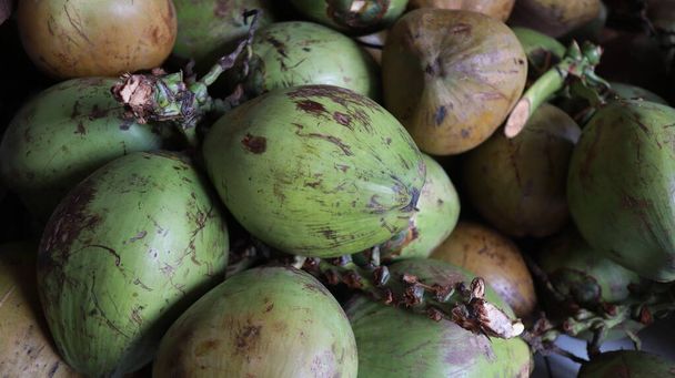 Jeunes noix de coco fraîches, noix de coco vertes fraîches, morceaux de noix de coco vertes, les Javanais l'appellent degan ou kelapa muda. Jeunes fruits verts de noix de coco qui ont plus délicieux jus de noix de coco. - Photo, image