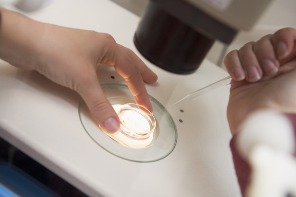 Embryologist adding sperm to egg - Foto, afbeelding