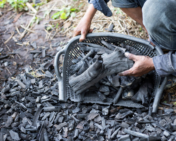 Zemědělci spalují dřevěné uhlí ze dřeva odříznutého z farmy. - Fotografie, Obrázek