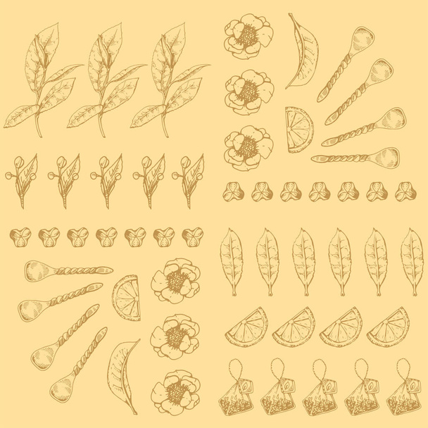 Detaillierte Handzeichnung von Teebeuteln, Blättern und Blumen, Vektorillustration. - Vektor, Bild