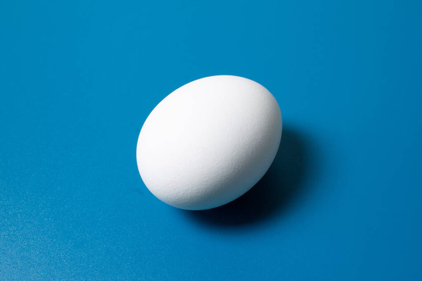 White egg on blue background - Foto, Imagem