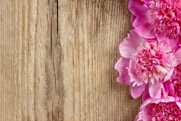 Stunning pink peonies on rustic brown wooden background - Photo, Image