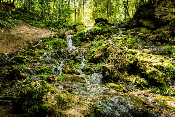 Kazu Grava waterfall in the middle of a beautiful green and lush forest illuminated by the sunlight in Latvia - Photo, Image
