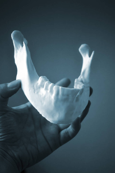 Девушка держит нижнюю челюсть отпечатанной на 3D принтере на ладони - Фото, изображение
