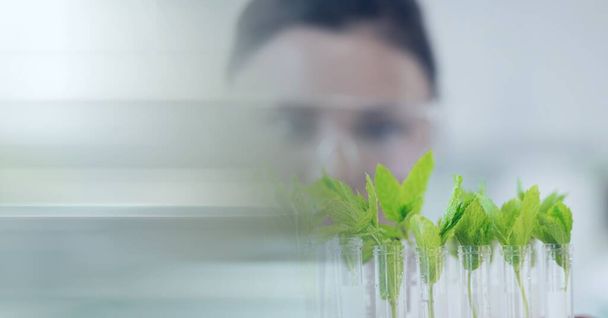 Composition of female scientist looking at plants in test tubes in laboratory with copy space. science and research concept digitally generated image. - Foto, immagini
