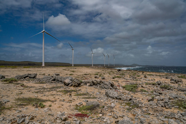 turbiny wiatrowe na plaży - Zdjęcie, obraz