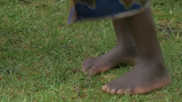 Feet dancing on the grass - Filmati, video