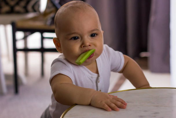 Grappige baby met de komkommer in zijn mond. Biologisch voedsel, goed en gezond voederen - Foto, afbeelding