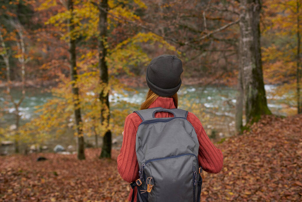 Herbstwald Naturlandschaft hohe Bäume und Wanderin mit Rucksack - Foto, Bild
