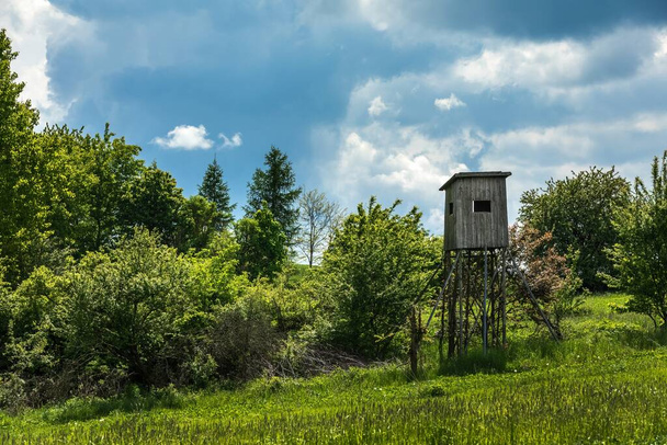 Hunting season. Hogs watchtower on a summer morning, hunting tower. Lookout tower for hunting in the Czech Republic.  - Φωτογραφία, εικόνα