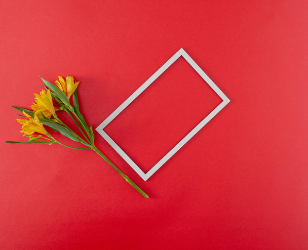 fresh yellow flowers with green leaves and frame on bold red background with copy space. minimal decorative luxury background art. minimal flat lay - Fotografie, Obrázek