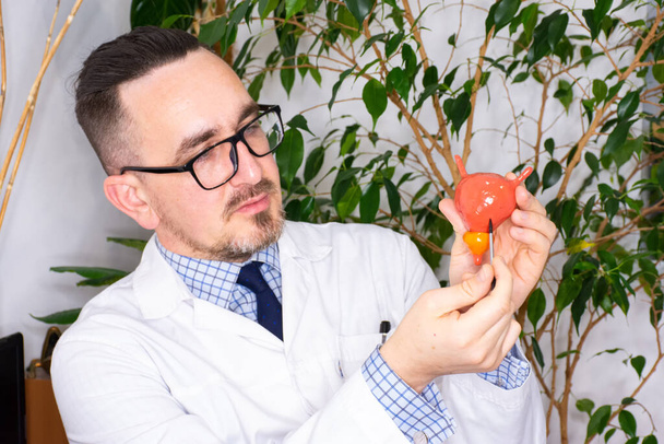 A doctor showing the anatomical model of the bladder with a prostate to the patient and explaining about it. The photo might be used for any articles about anatomical model of the bladder or for students book for their studies.  - Photo, Image