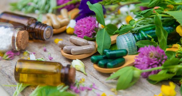 Homeopathy herbs and medicine pills. Selective focus. Nature. - Photo, Image