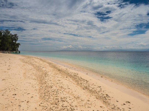 Seram Adası, Maluku, Endonezya, Pelau Sau, Sau 'u, Banda Denizi, Asya yakınlarındaki yedi adanın birinde bulunan güzel tropikal plajdaki ağaç. - Fotoğraf, Görsel