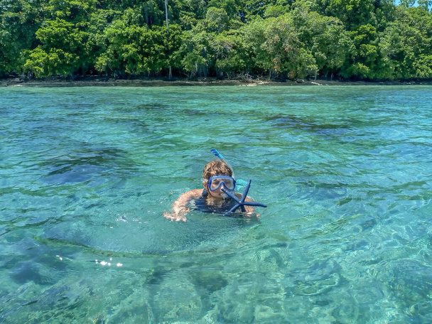 Mujer haciendo snorkel en el mar turquesa y sosteniendo estrellas de mar azules, Seven Islands, Seram Island, Indonesia - Foto, imagen