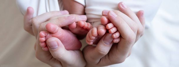 Banneri. Äidin kädet pitävät pieniä jalkoja heidän kahdesta vastasyntyneestä kaksosesta - Valokuva, kuva