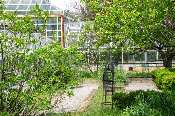 Ландшафтний вид на скляну теплицю в парку з кущами, деревами, рослинами і квітами
. - Фото, зображення