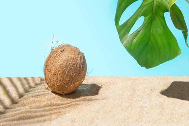 Coco fresco natural bajo sombra de palmeras en la soleada playa de arena con hoja de monstera. Fondo azul veraniego brillante. Concepto mínimo y optimista. - Foto, Imagen