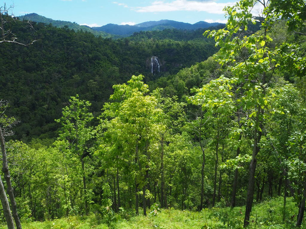 谷の滝の高い角度の眺め - 写真・画像