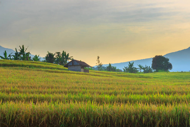 la belleza natural del campo con la atmósfera de la mañana en los campos de arroz y las montañas al amanecer en Indonesia - Foto, Imagen
