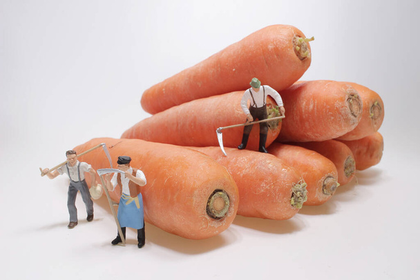 el mini agricultor con el grupo de la zanahoria - Foto, imagen