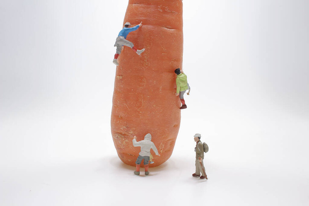 um mini de brinquedo de escalada e cenouras - Foto, Imagem