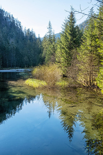 Creek scene, Velky Sokol gorge, Slovak Paradise national park. Seasonal natural scene. - Fotografie, Obrázek
