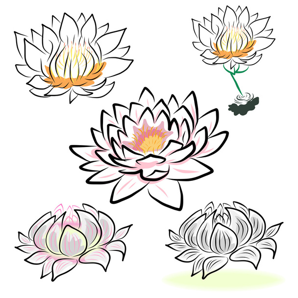 Hand drawing flowers - Vector, Image