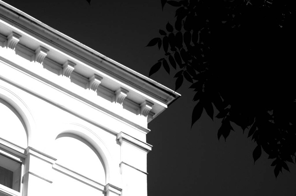 A grayscale shot of a fragment of a classic-style building - Фото, зображення