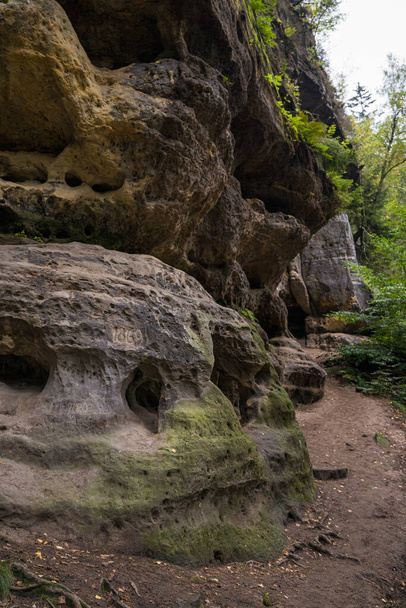 A beautiful view of rock formations with greenery in the Basteigebiet hiking area, Lohmen, Germany - Foto, imagen