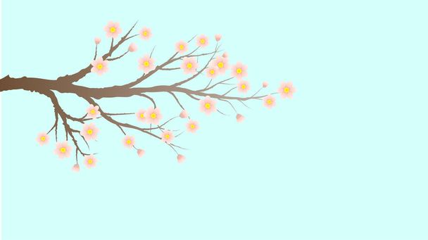 Sakura oder Kirschbaumzweig mit Blüten - Vektor, Bild